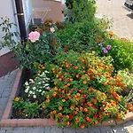 Apartamento Pirun Baška
