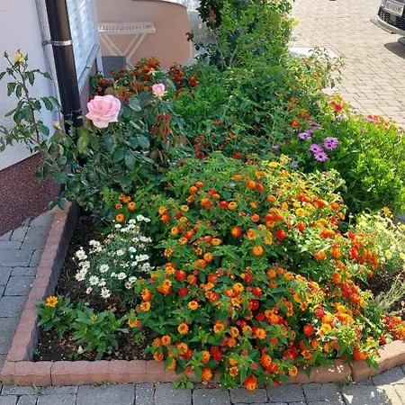 Apartament Pirun Baška