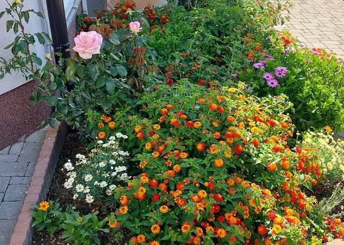 Lejlighed Pirun Baška